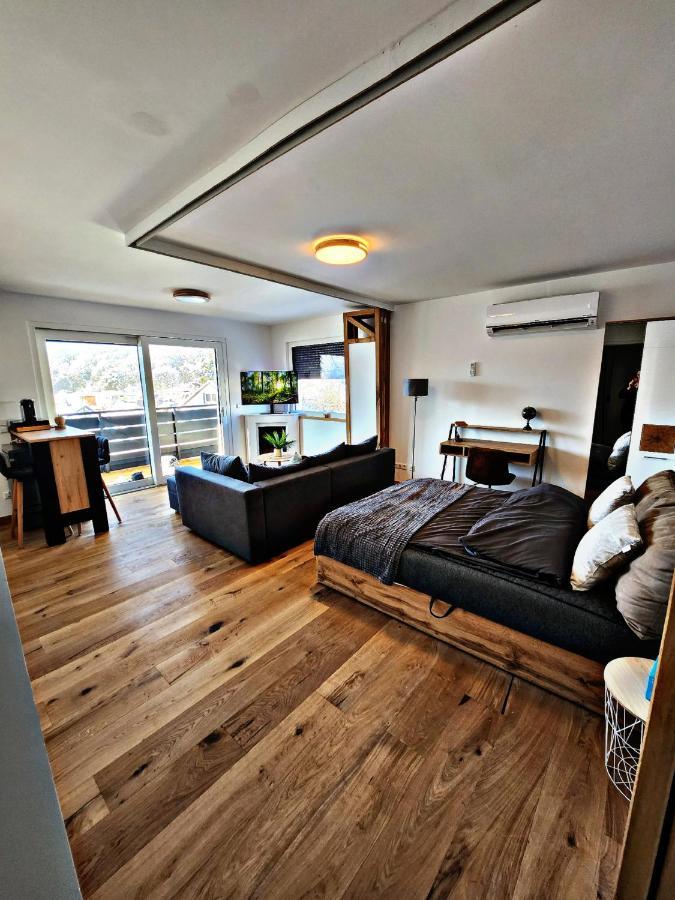 Lions Place Premium Apartments Executive Luxus Penthouse Inklusive Spa Хайденхайм-ан-дер-Бренц Экстерьер фото
