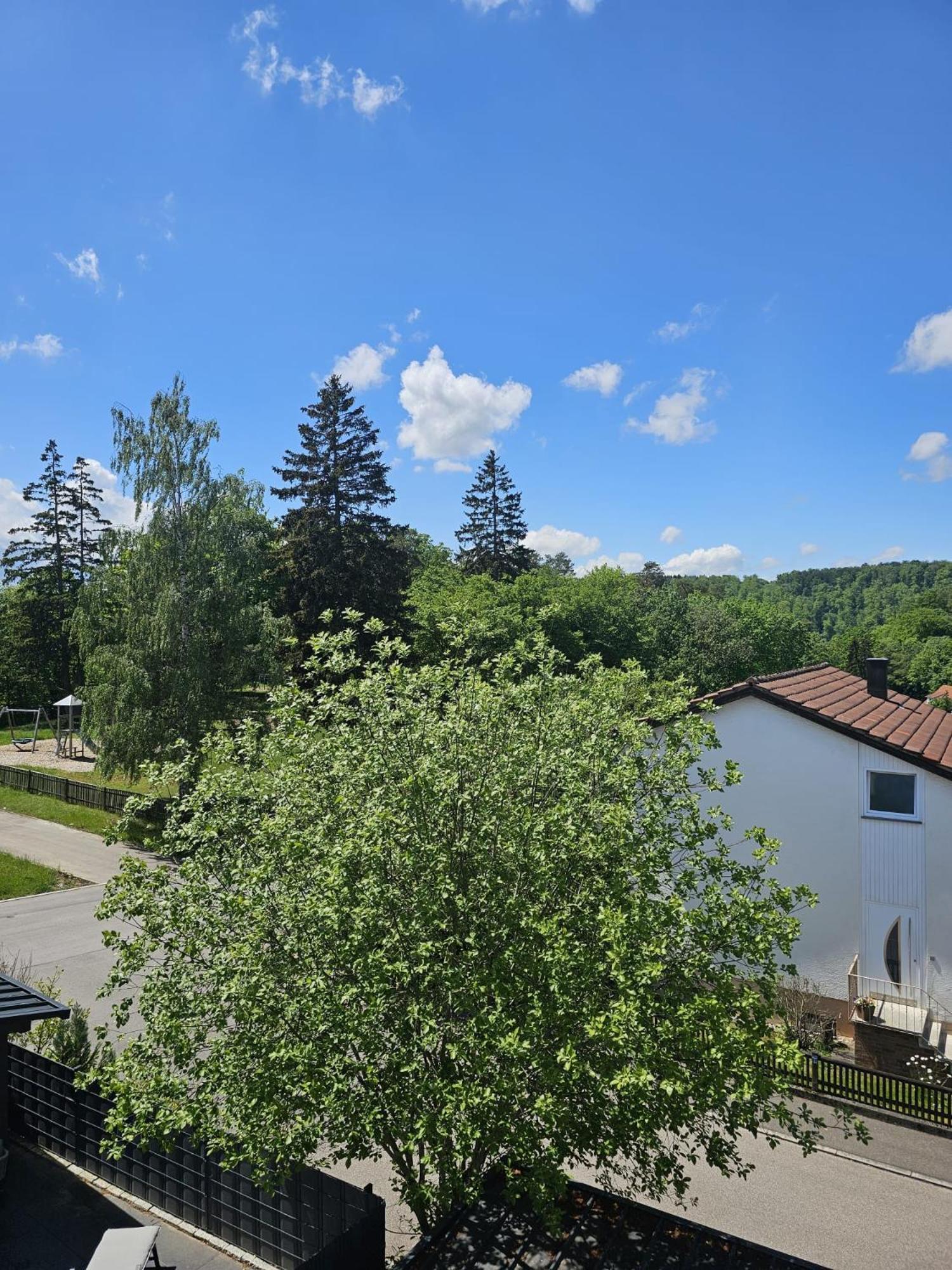 Lions Place Premium Apartments Executive Luxus Penthouse Inklusive Spa Хайденхайм-ан-дер-Бренц Экстерьер фото